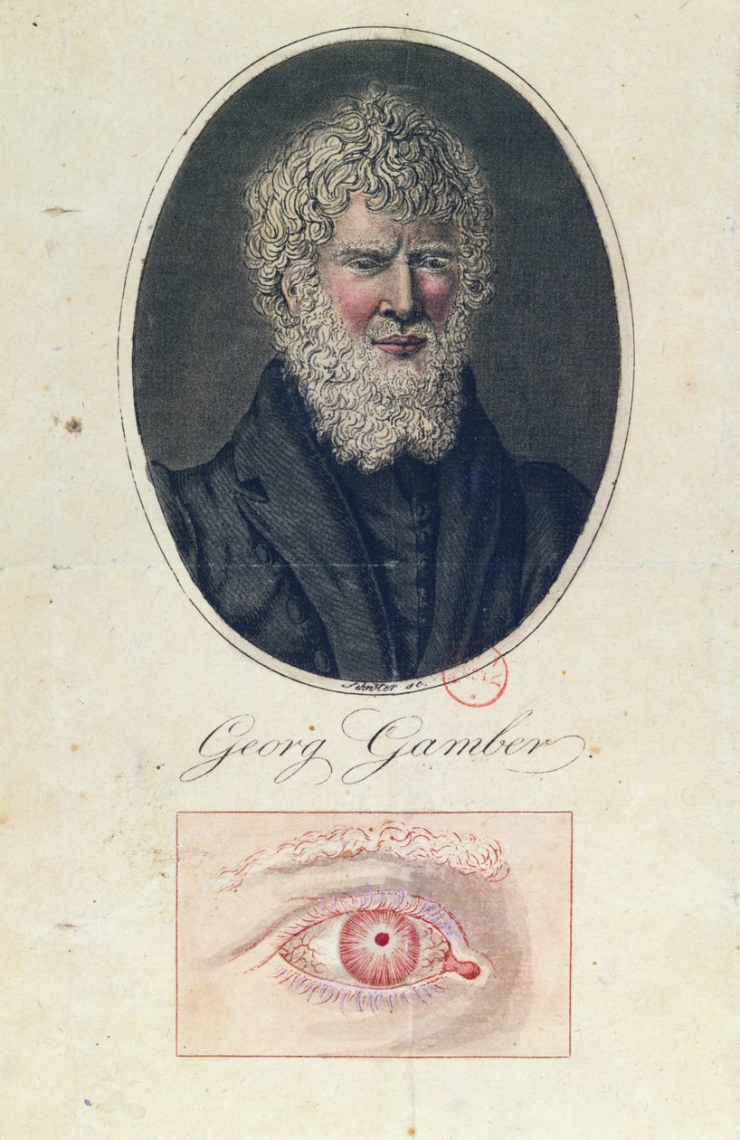 Georg Gamber, ein Albino von German School
