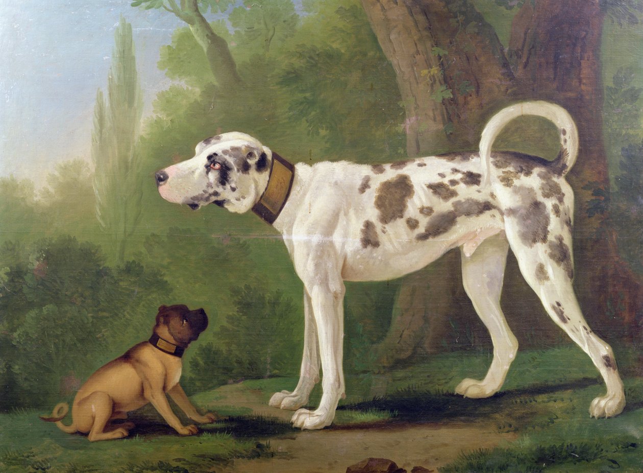 Jagdhund und Terrier von German School