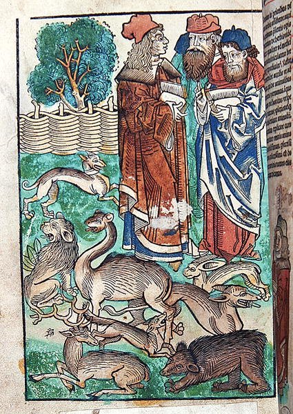 Illustration aus Hortus Sanitatis von German School