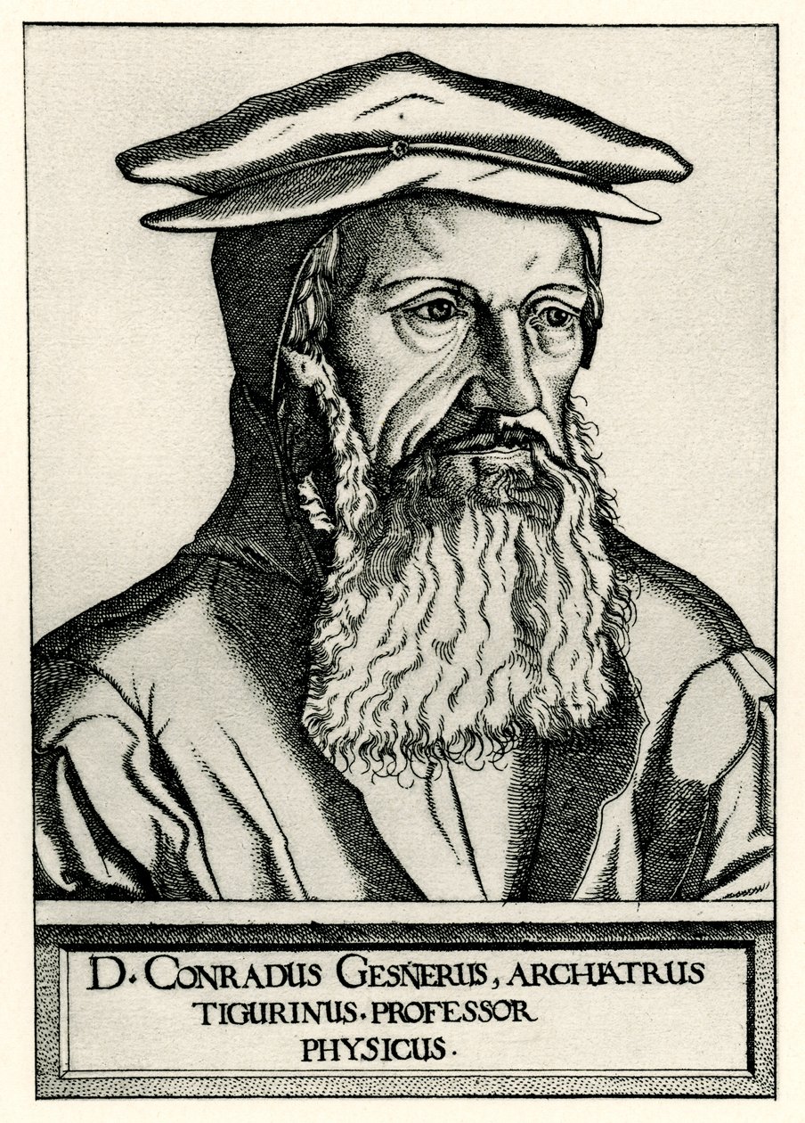 Konrad Gesner von German School