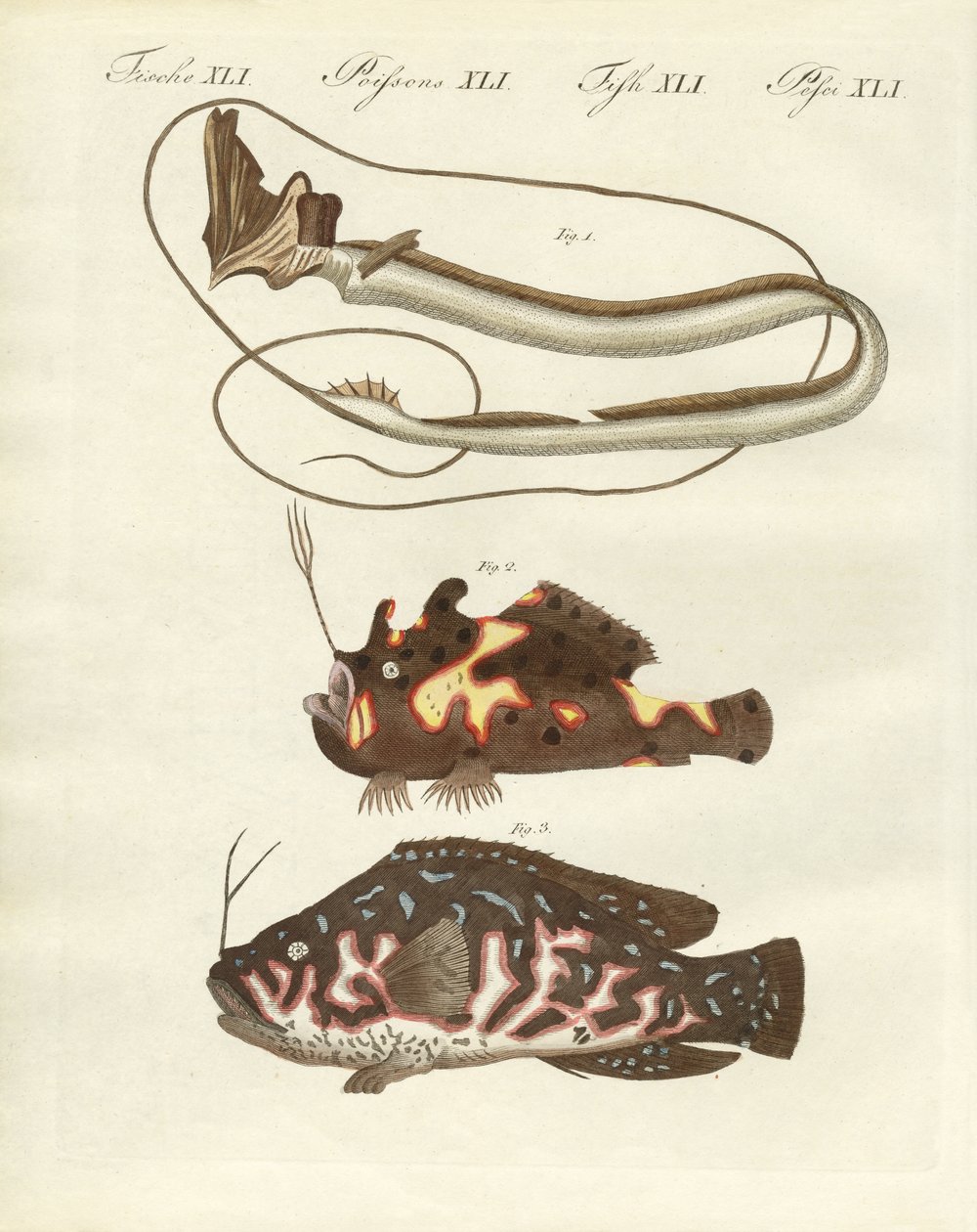 Seltsame Fische von German School