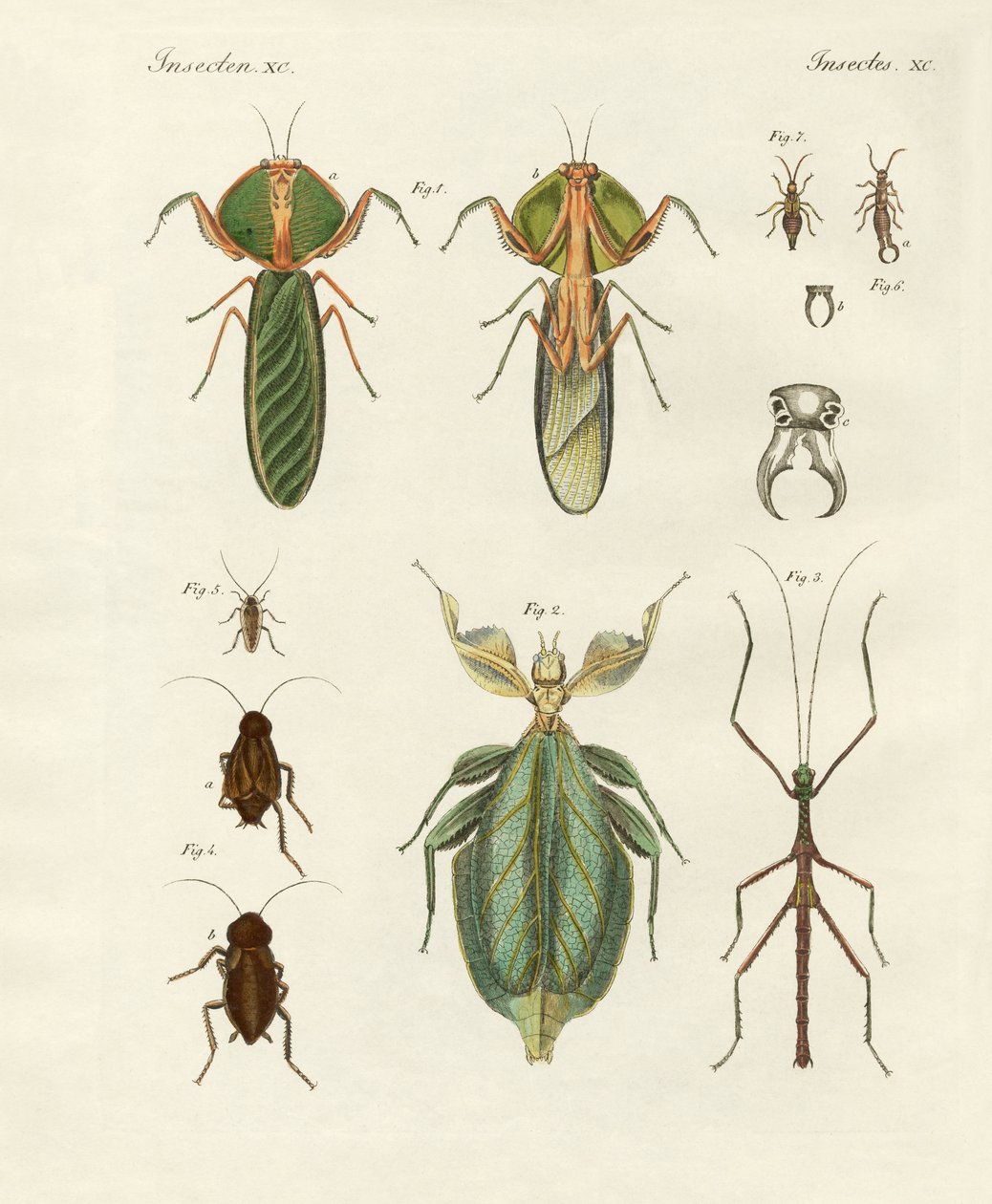 Seltsame Insekten von German School