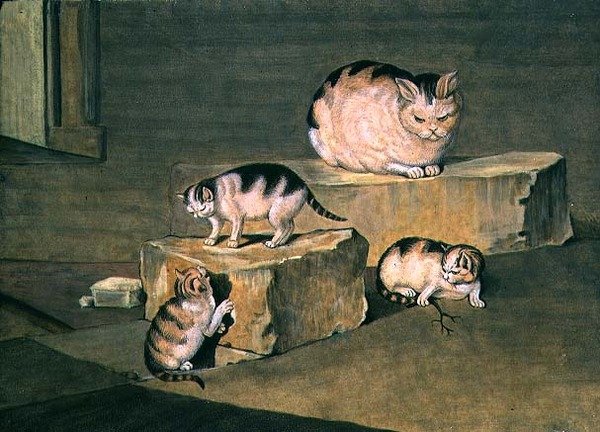 Studie von Katzen von German School