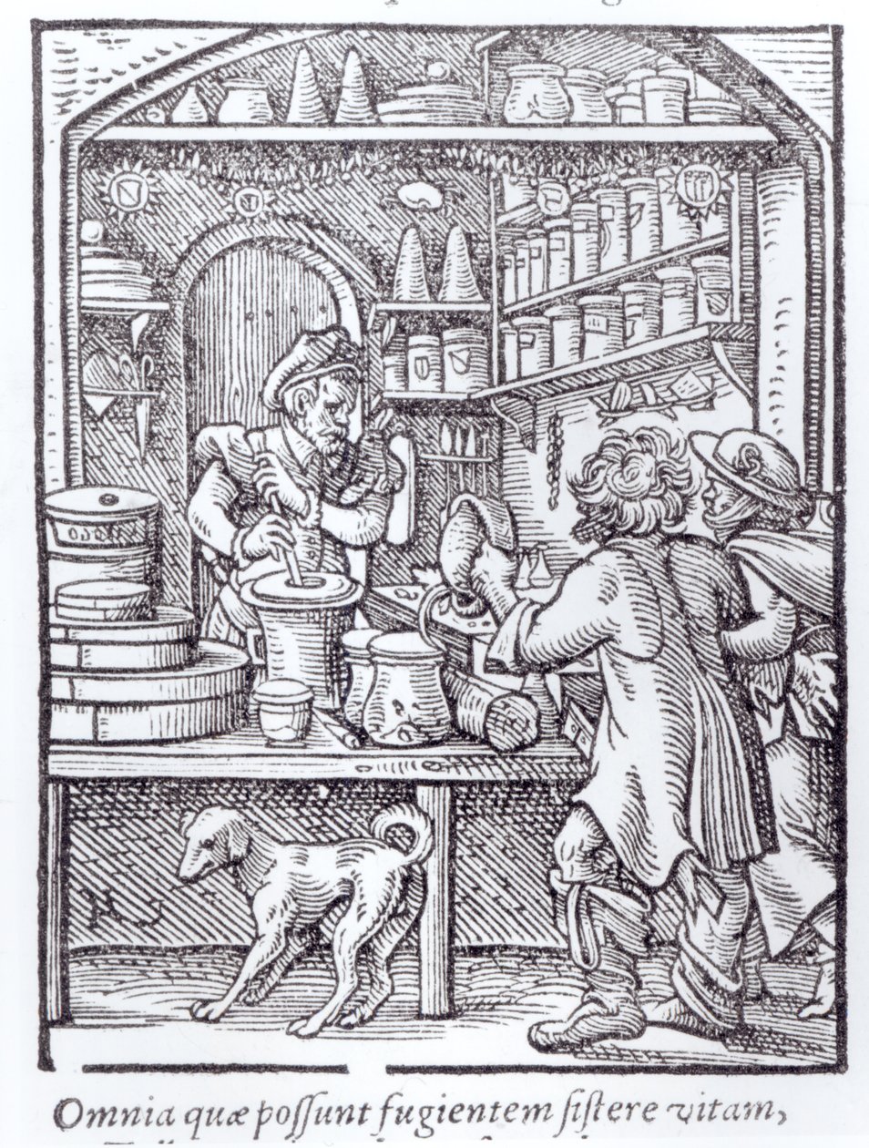 Der Apotheker, veröffentlicht von Hartman Schopper von German School