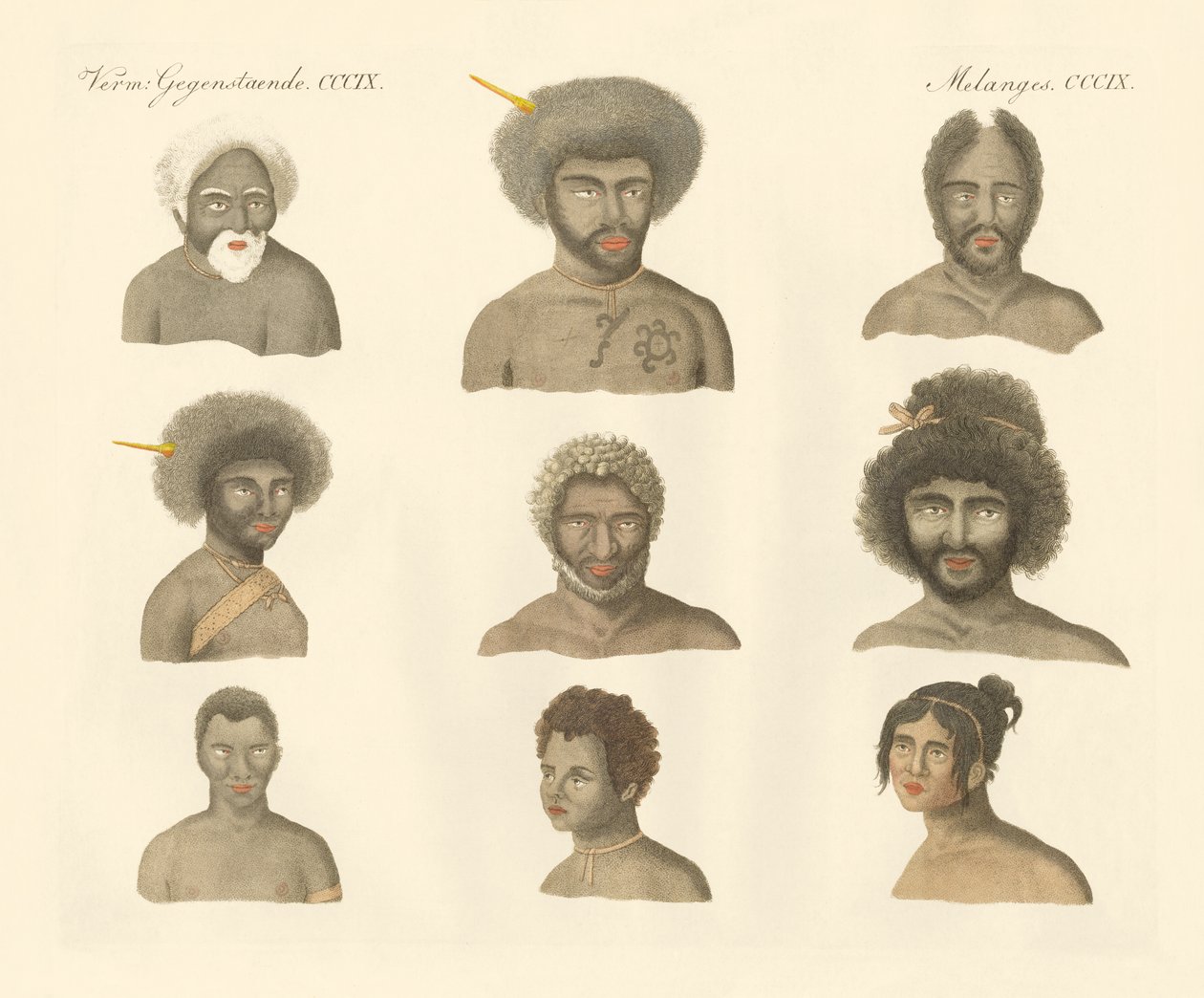 Die Papua von German School