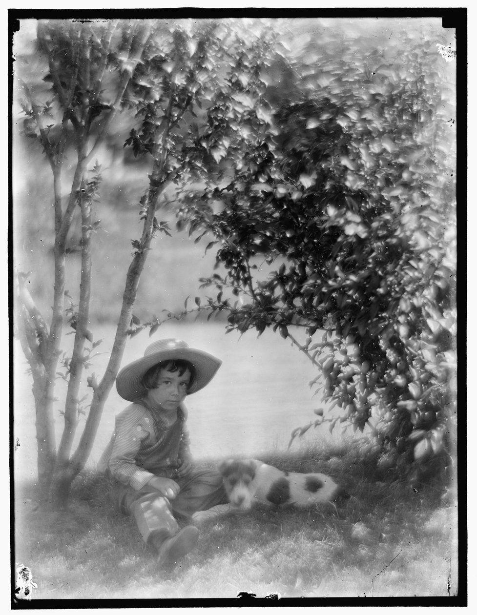 Junge mit Hund von Gertrude Käsebier