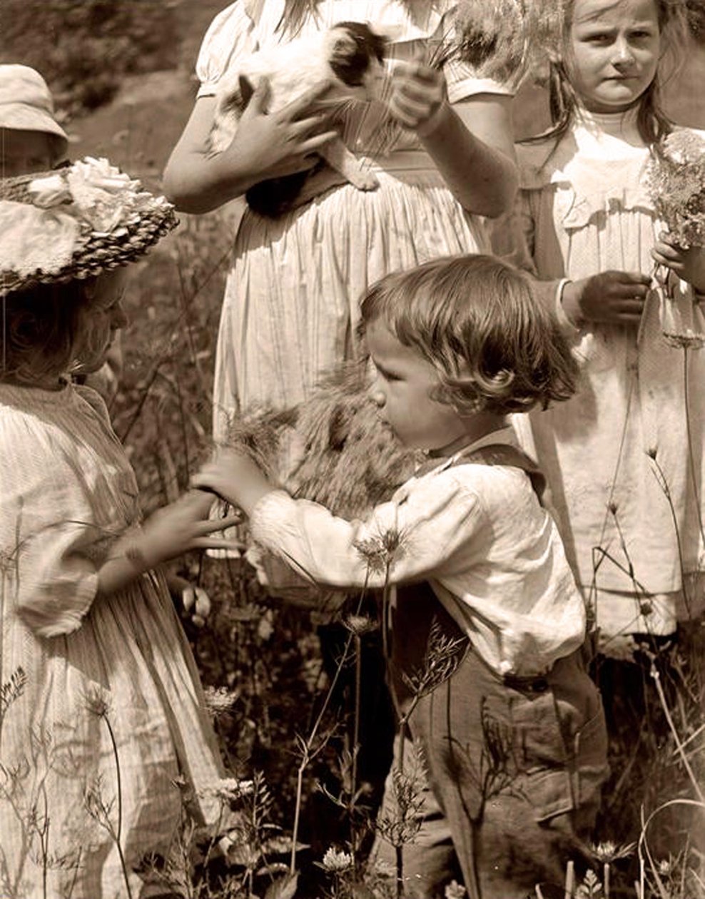 Glückliche Tage 1902 von Gertrude Käsebier