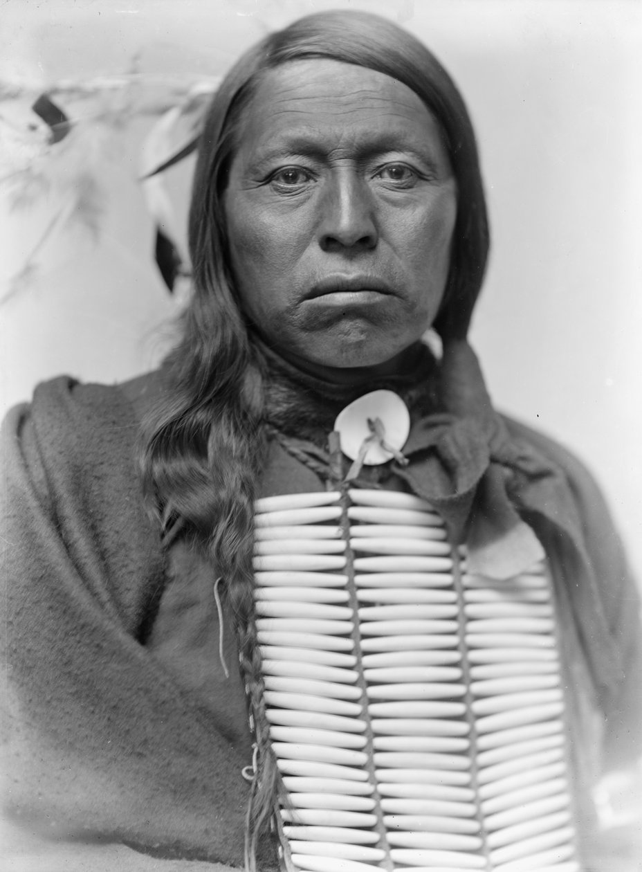 Sioux-Häuptling Flying Hawk, ca. 1900 von Gertrude Käsebier