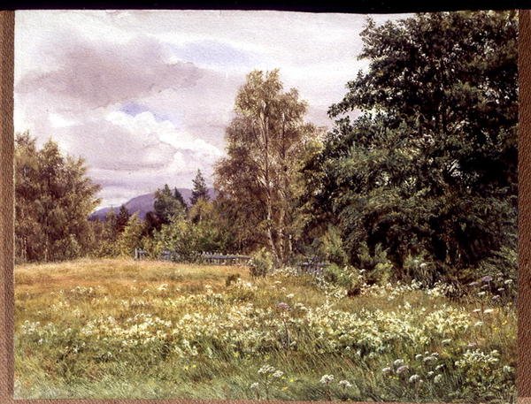 Mädesüß bei Polchar, Aviemore, Schottland von Gertrude Martineau