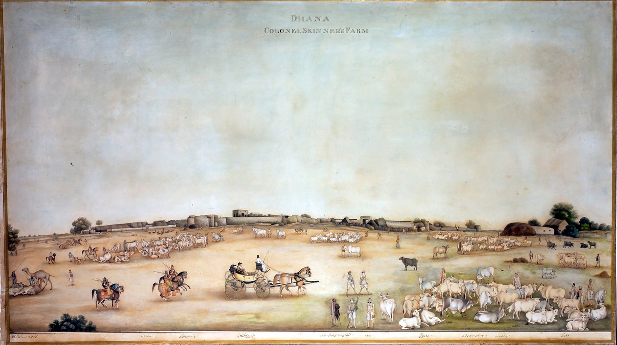 ?Dhana Colonel Skinners Farm?, 1828 von Ghulam Ali Khan