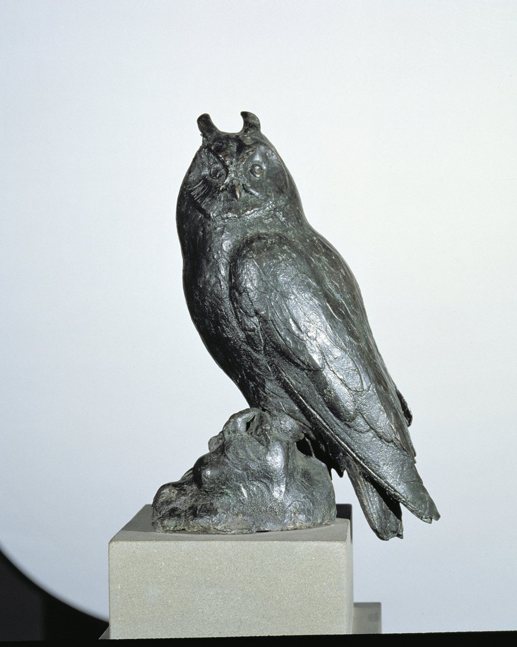 Eule von Giambologna