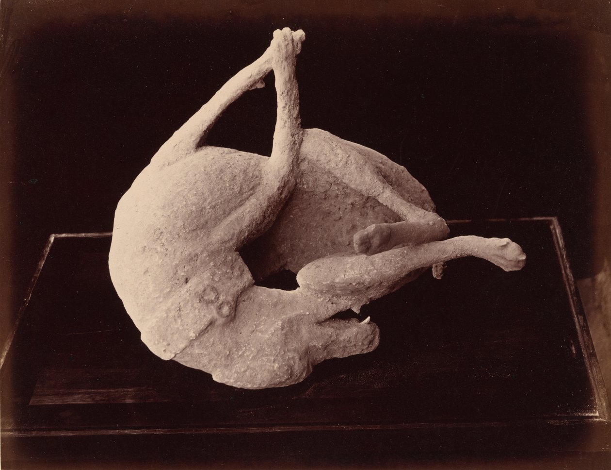 Abdruck, Pompeji von Giorgio Sommer