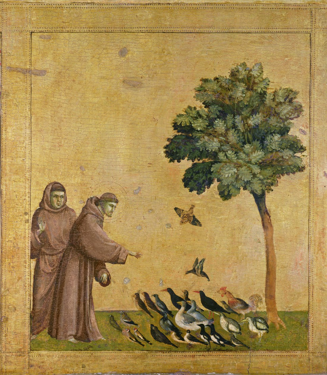Die Predigt an die Vögel von Giotto di Bondone