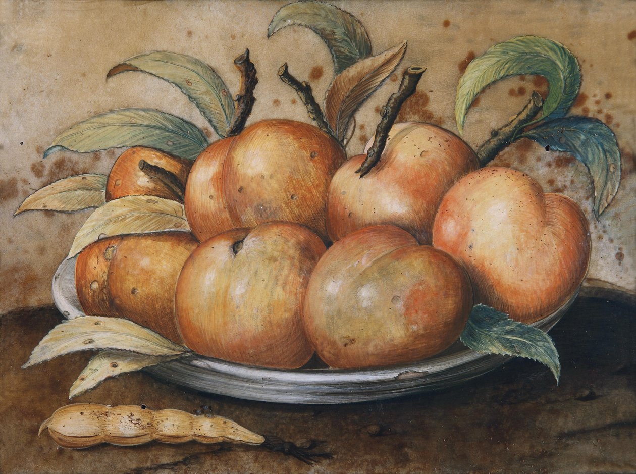 Stillleben mit Pfirsichen und Johannisbrot von Giovanna Garzoni