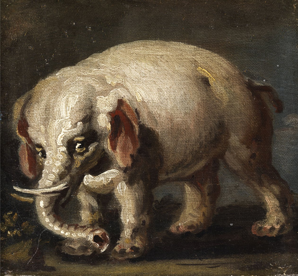 Elefant von Giovanni Antonio Guardi