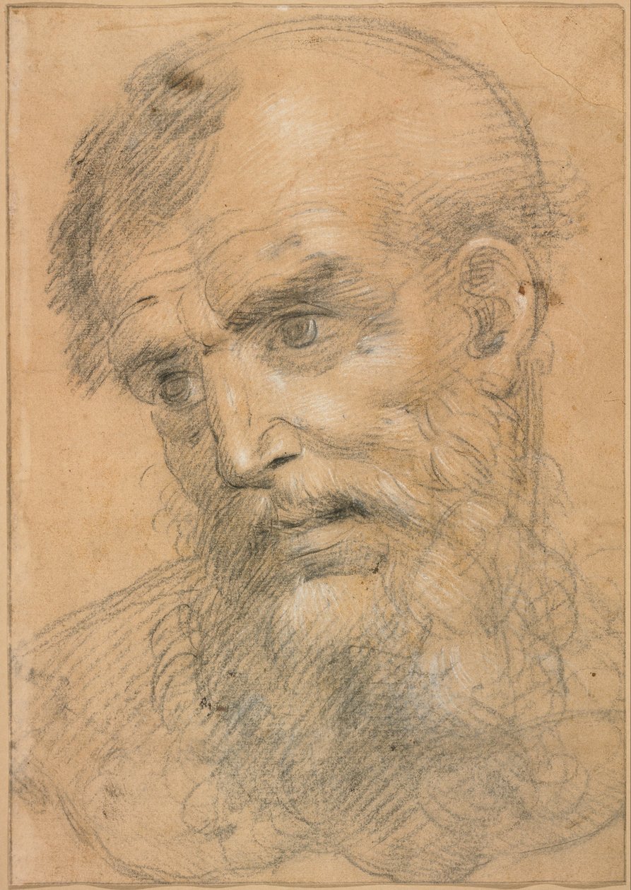 Kopf eines bärtigen Mannes (recto); Studie für eine sacra conversazione (verso) von Giovanni Antonio Sogliani