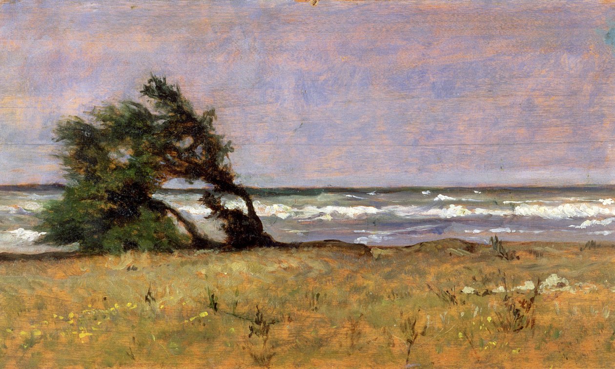 Sturm von Giovanni Fattori