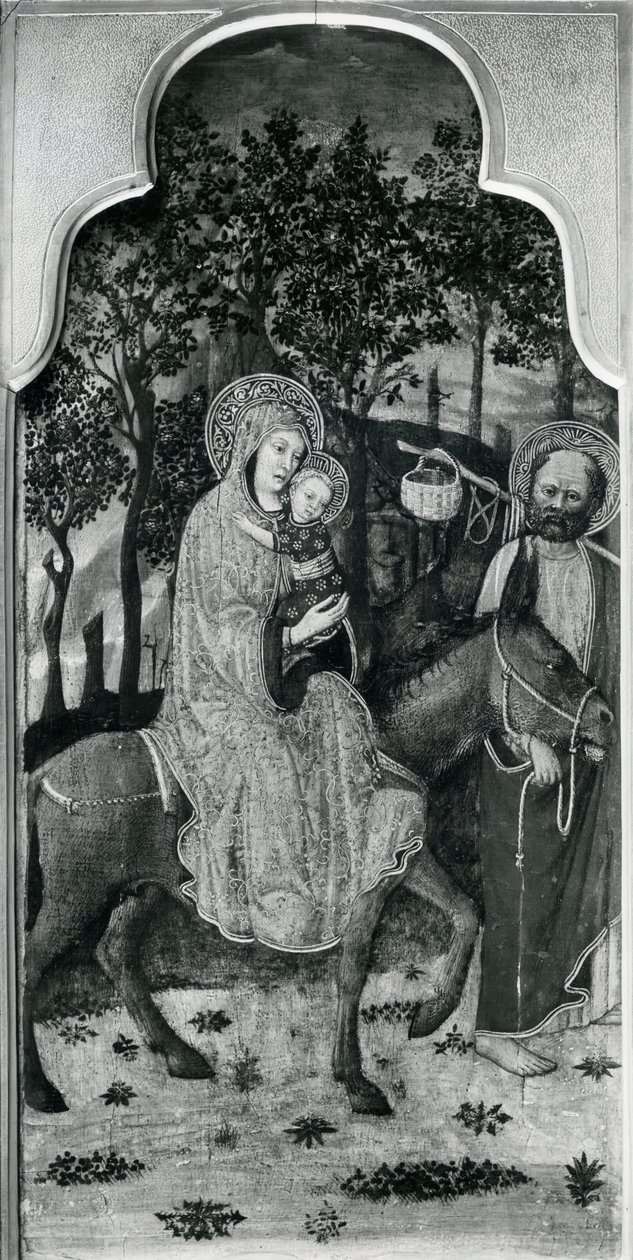 Zyklus des Lebens der Jungfrau, Flucht nach Ägypten, ca. 1445 von Giovanni Francesco da Rimini