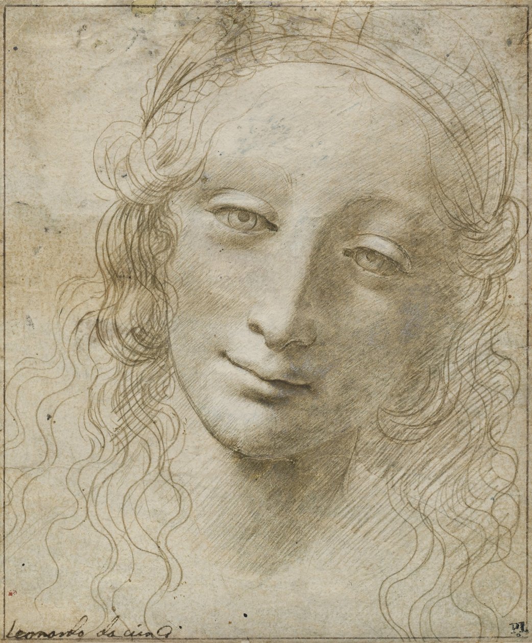Kopf einer Frau von Giovanni Antonio Boltraffio