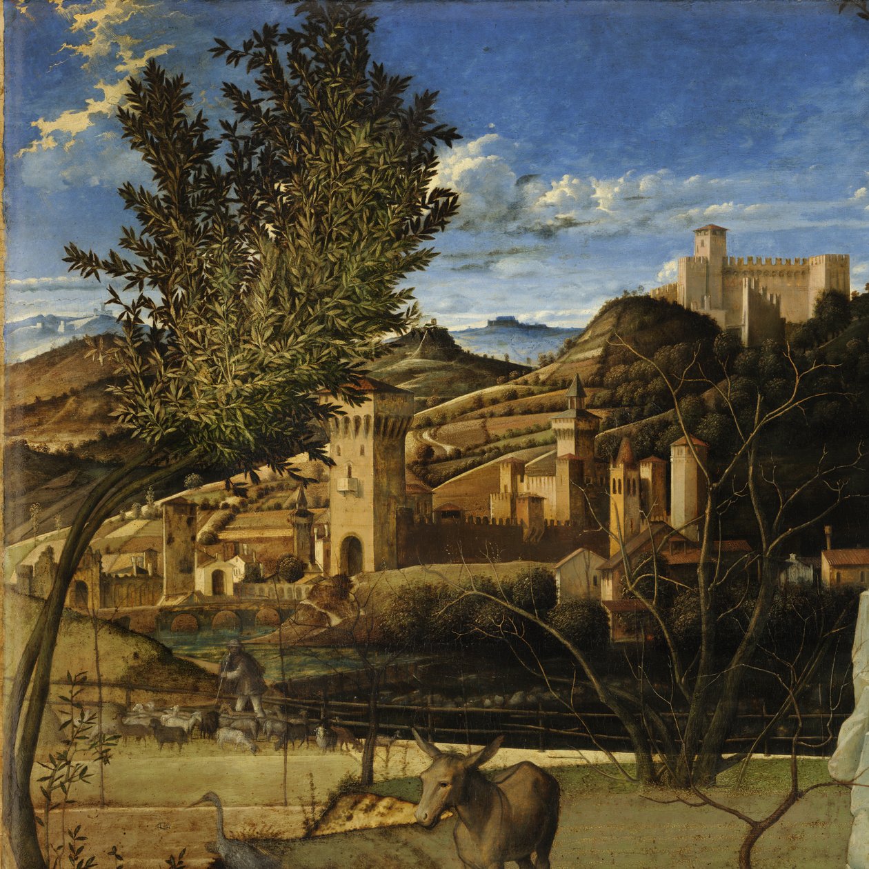 Der heilige Franziskus in der Wüste von Giovanni Bellini