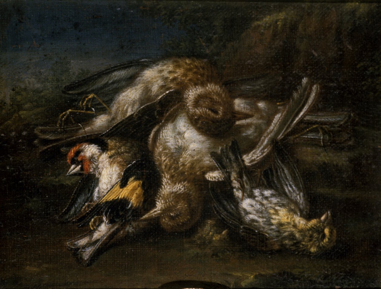 Tote Vögel von Giovanni Benedetto Castiglione