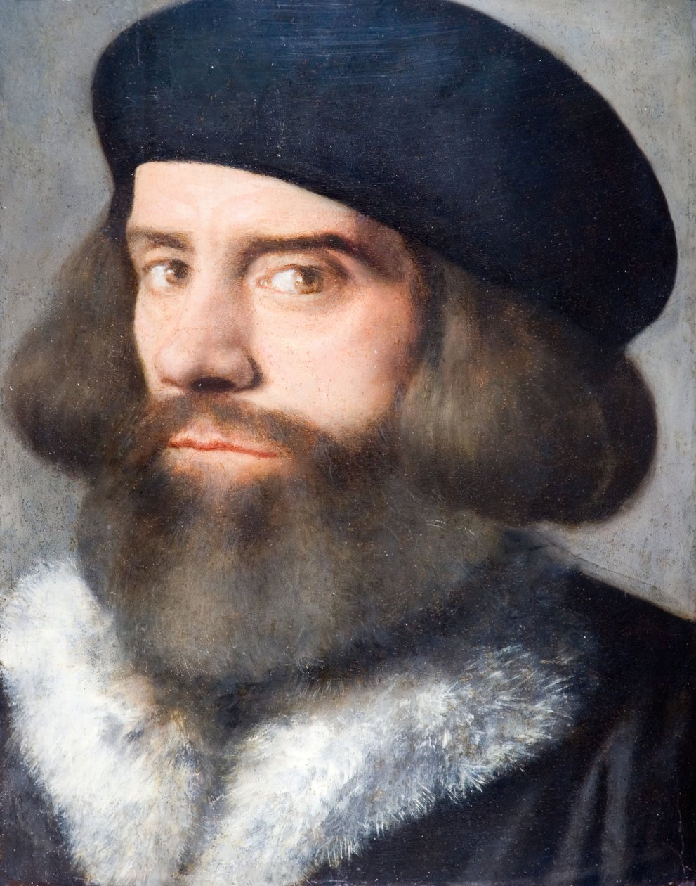 Kopf eines bärtigen Mannes, 1537 von Giovanni Buonconsiglio