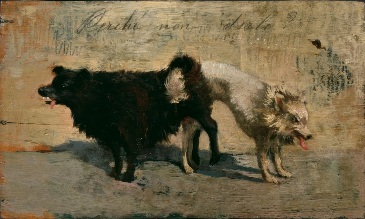 Perché non dirlo? von Giovanni Fattori
