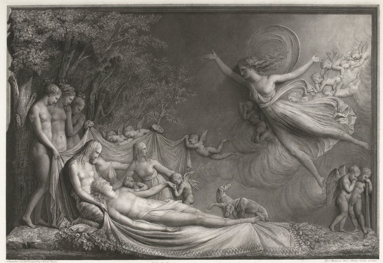Der Tod des Adonis von Giovanni Martino dei Boni