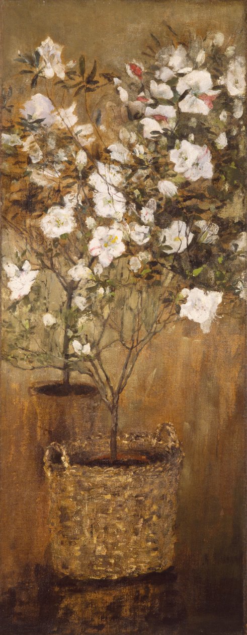 Töpfe mit Azaleen von Giovanni Segantini
