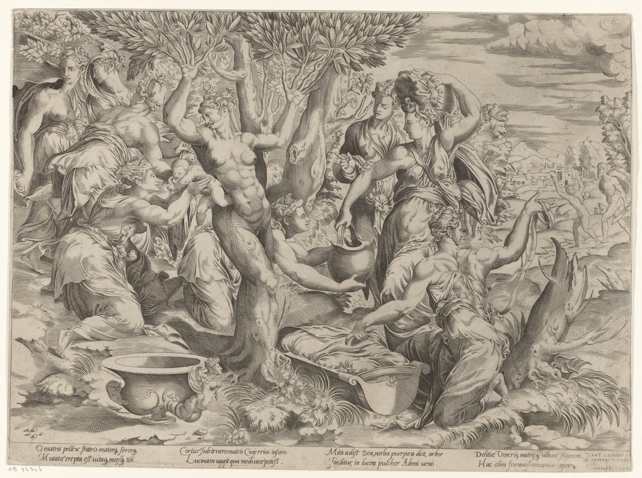 Geburt des Adonis von Girolamo Fagiuoli (attributed to)