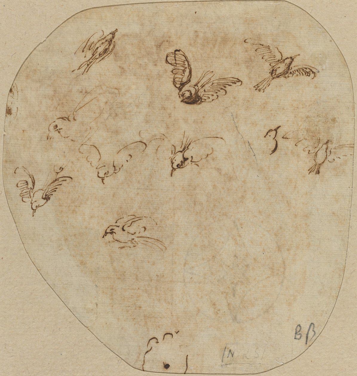 Vögel im Flug [verso] von Girolamo Mazzola Bedoli