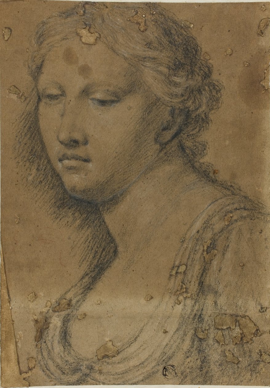 Büste einer Frau von Girolamo da Carpi