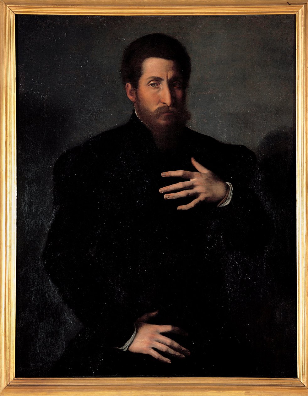 Porträt eines virilen Mannes von Girolamo da Carpi