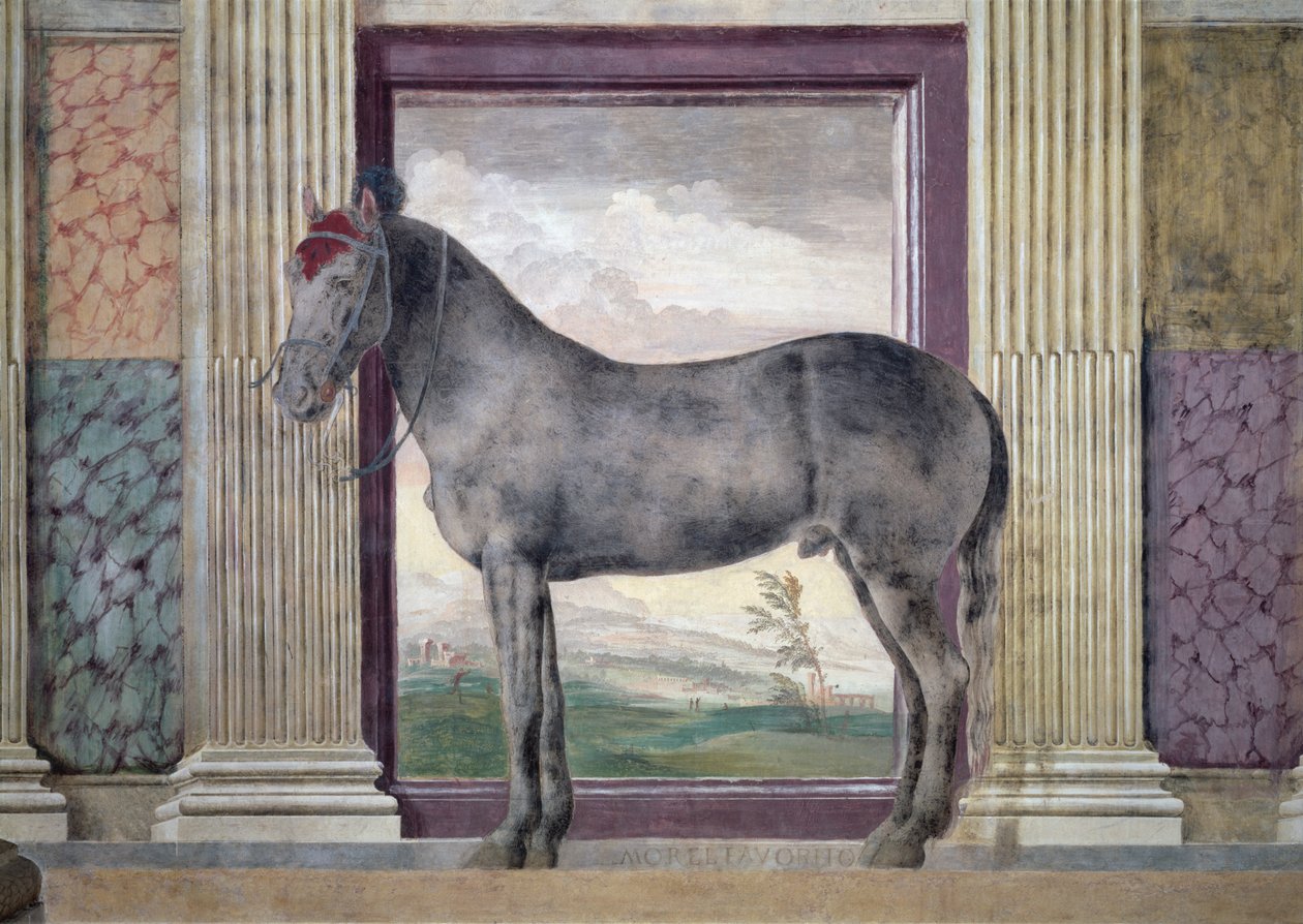 Sala dei Cavalli, (Detail) von Giulio Romano