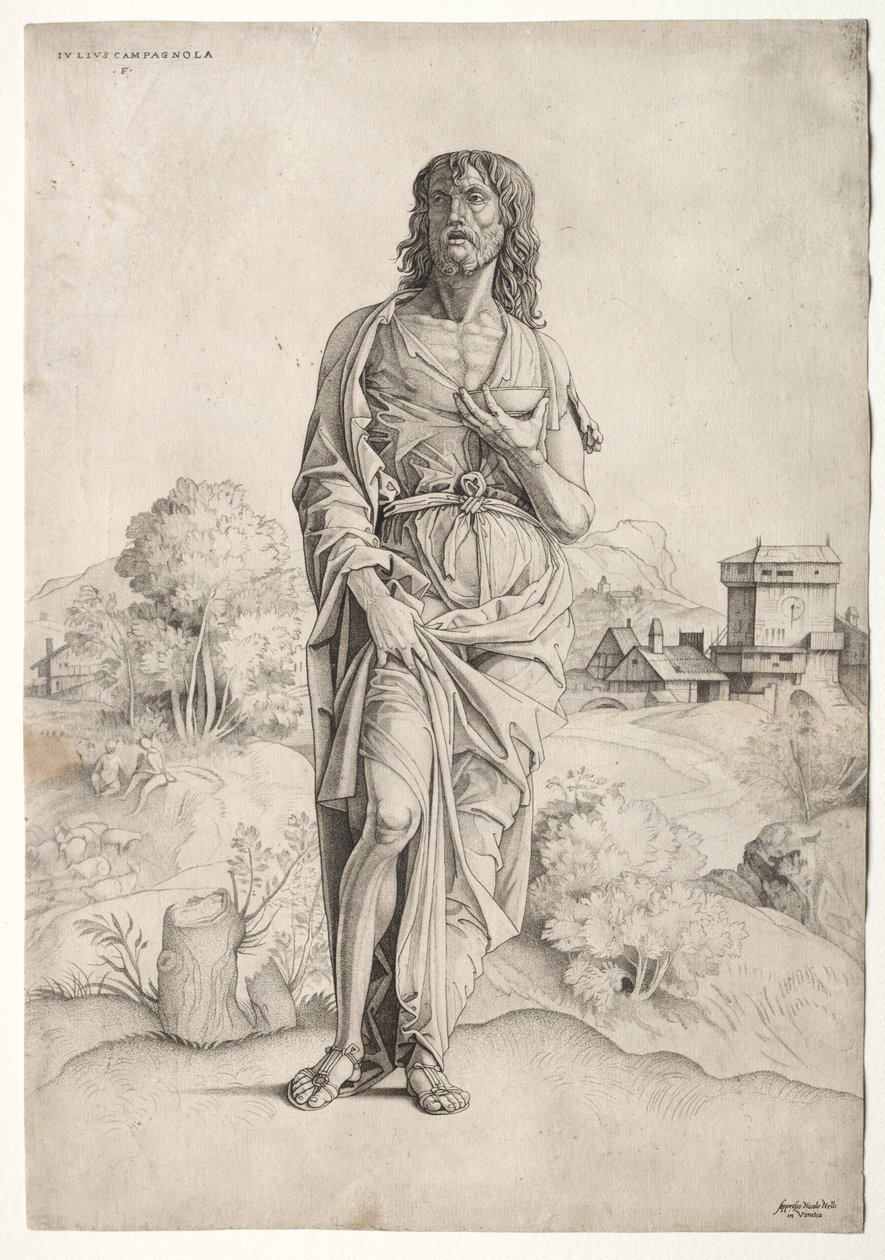 Johannes der Täufer von Giulio Campagnola