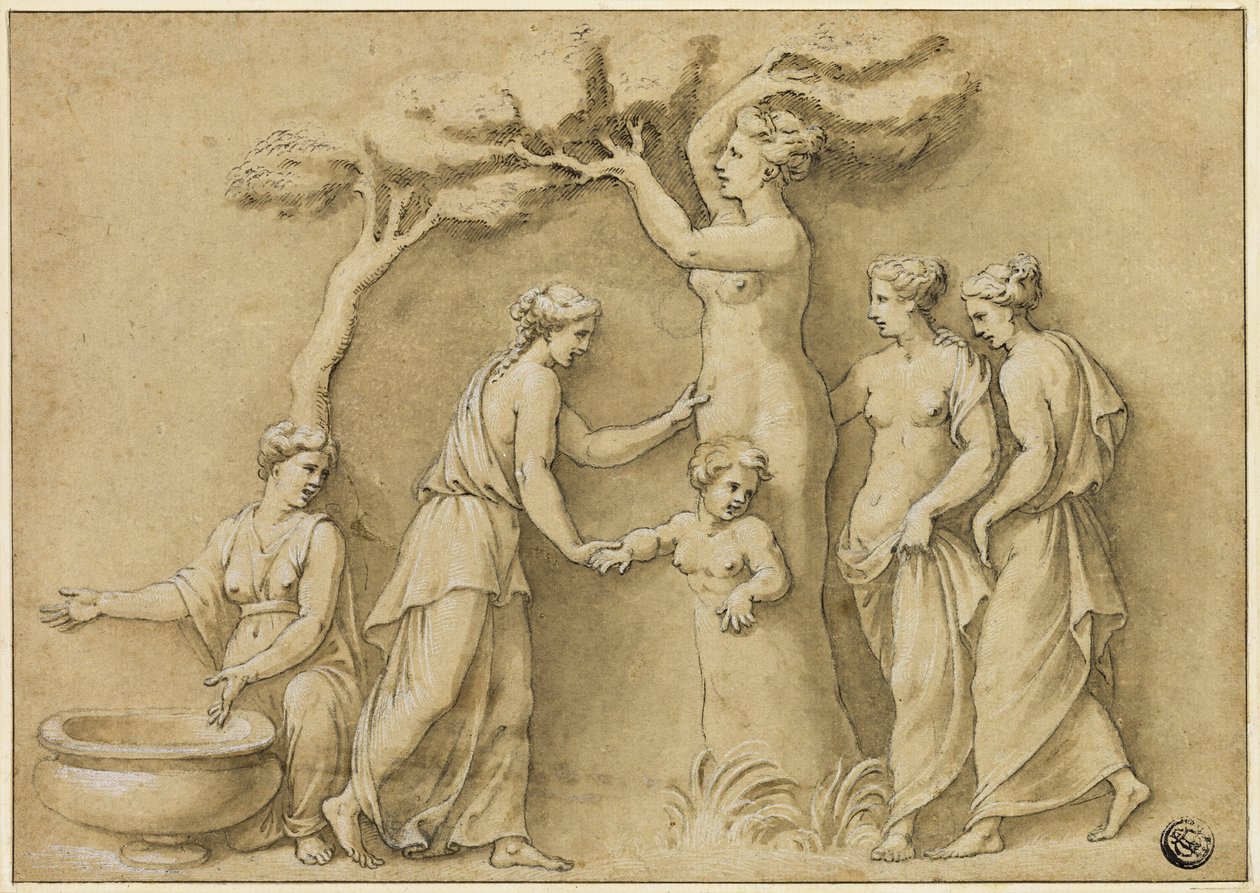 Geburt des Adonis von Giulio Romano