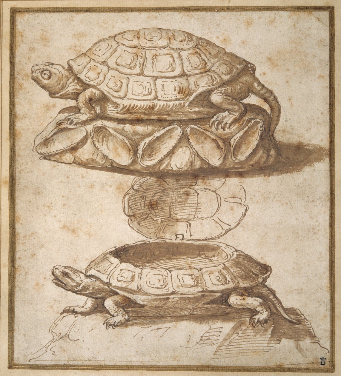 Süßigkeitenbox in Schildkrötenform von Giulio Romano