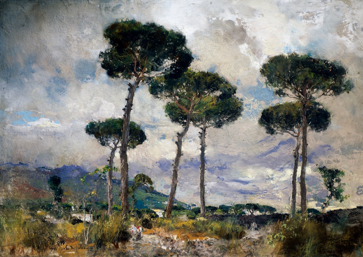 Kiefern von Giuseppe Casciaro
