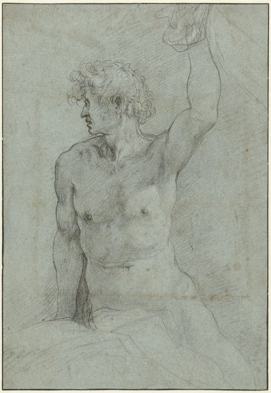 Aktstudie eines sitzenden jungen Mannes von Giuseppe Cesari