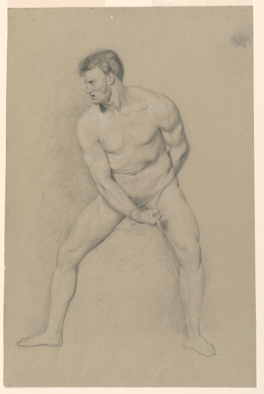 Akademische Studie eines männlichen Aktes von Giuseppe Longhi
