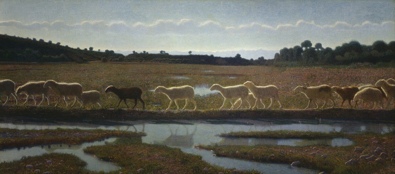 Der Spiegel des Lebens von Giuseppe Pellizza da Volpedo