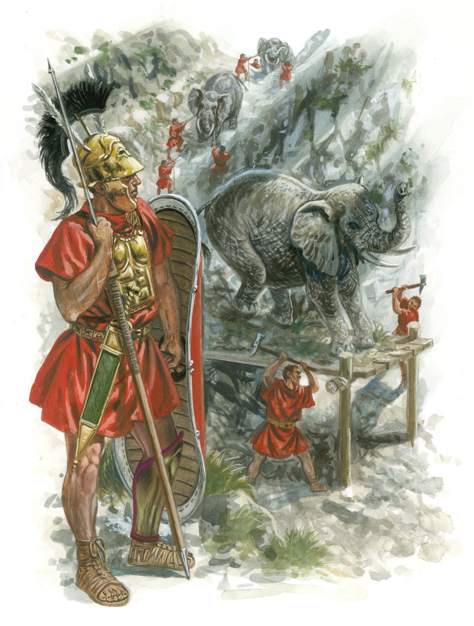 Makedonische Kriege Roms von Giuseppe Rava