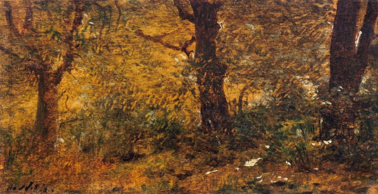 Studie von Holz von Giuseppe or Joseph de Nittis