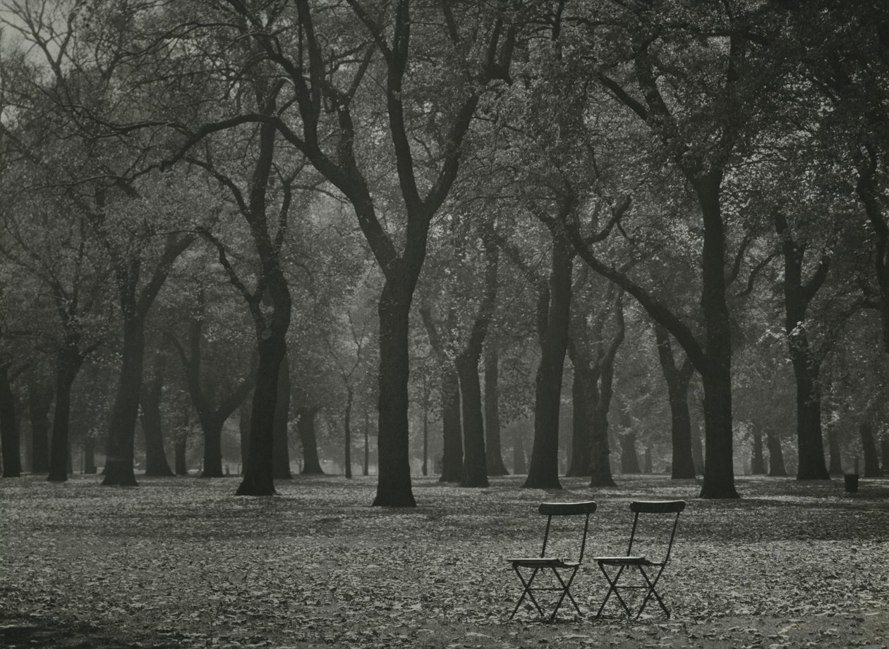 Herbstbäume im Hyde Park, London von Godfrey Macdominic