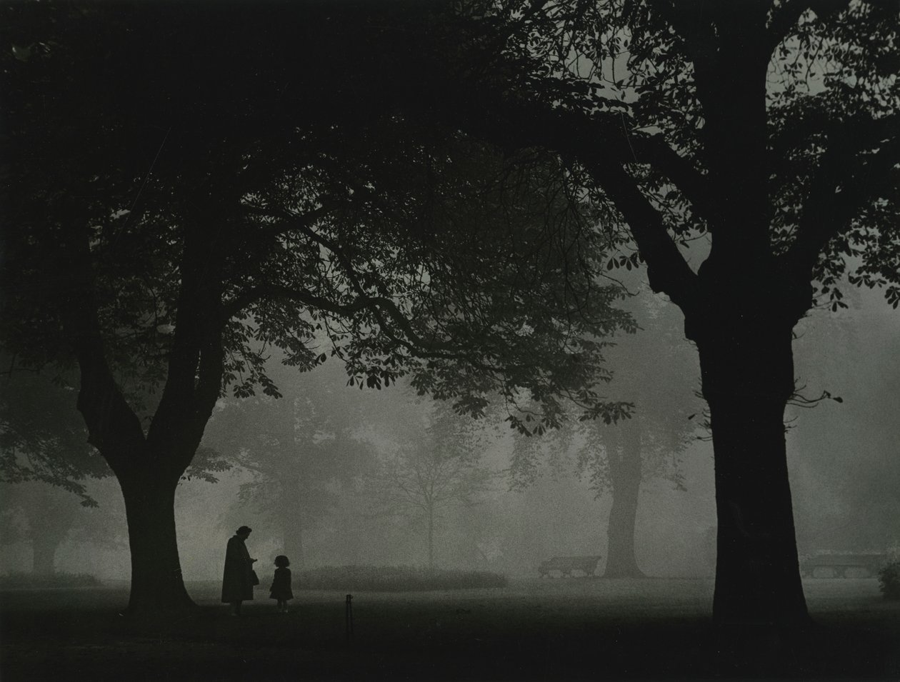 Regents Park, London 1950er Jahre von Godfrey Macdominic