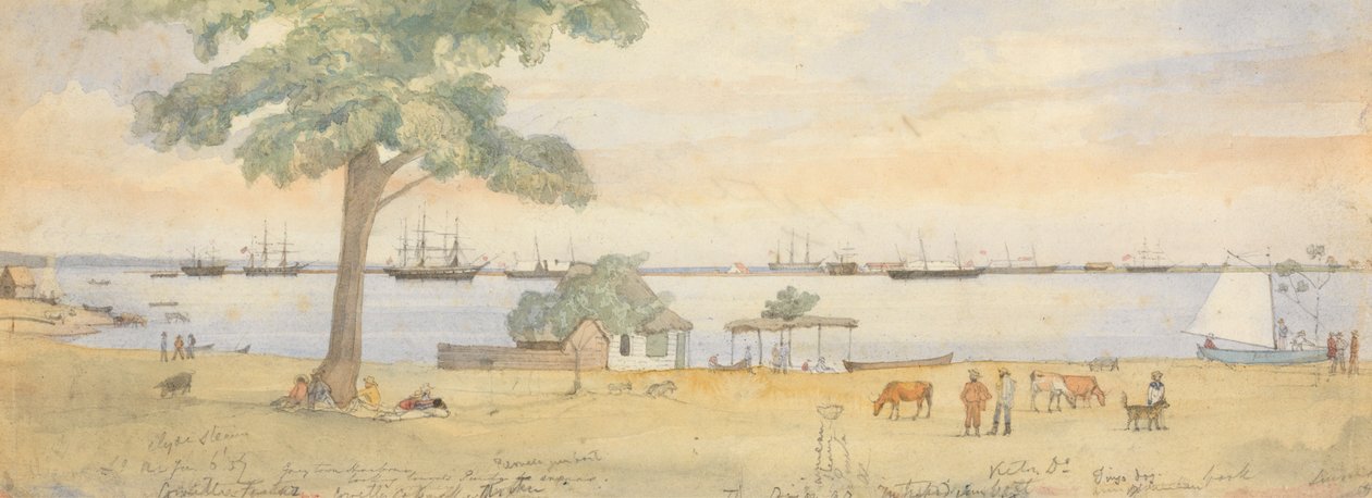 Greytown von Godfrey Thomas Vigne
