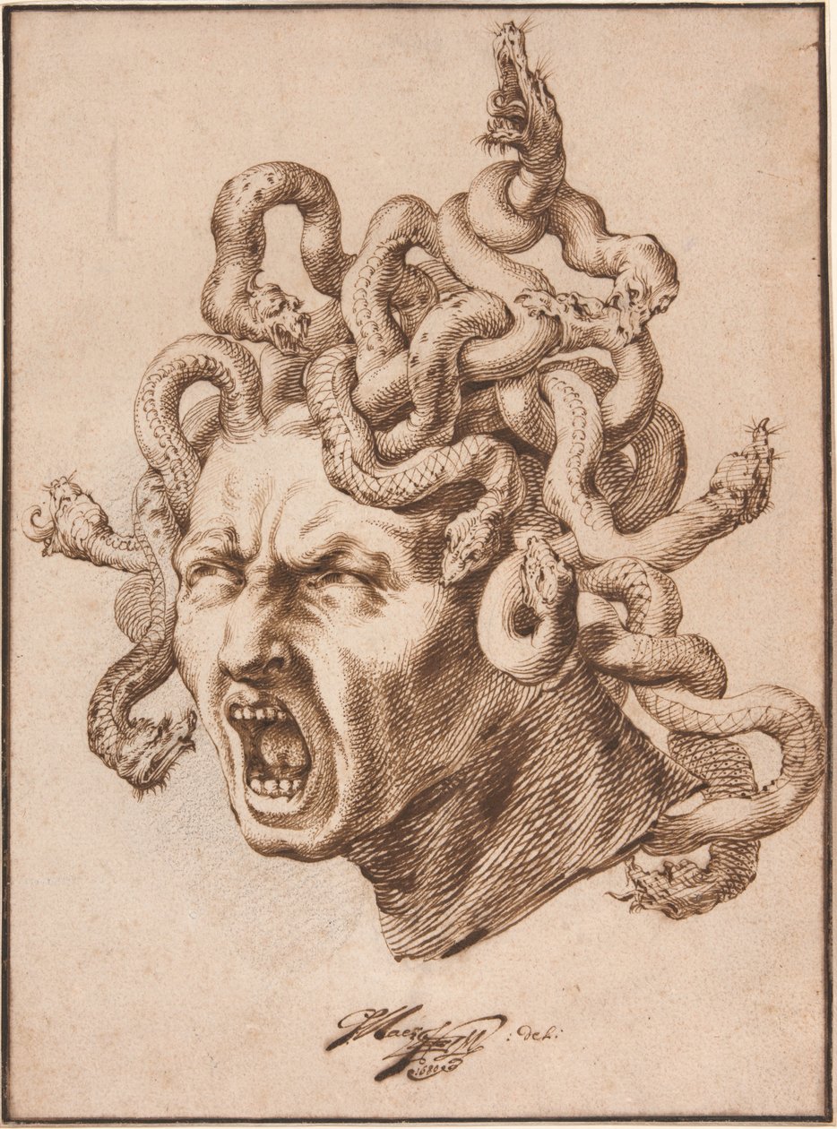 Kopf der Medusa von Godfried Maes