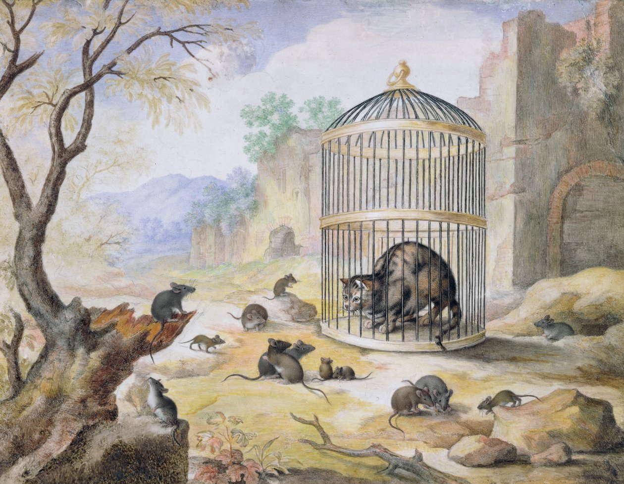 Eine Katze im Käfig von Gottfried Mind or Mindt