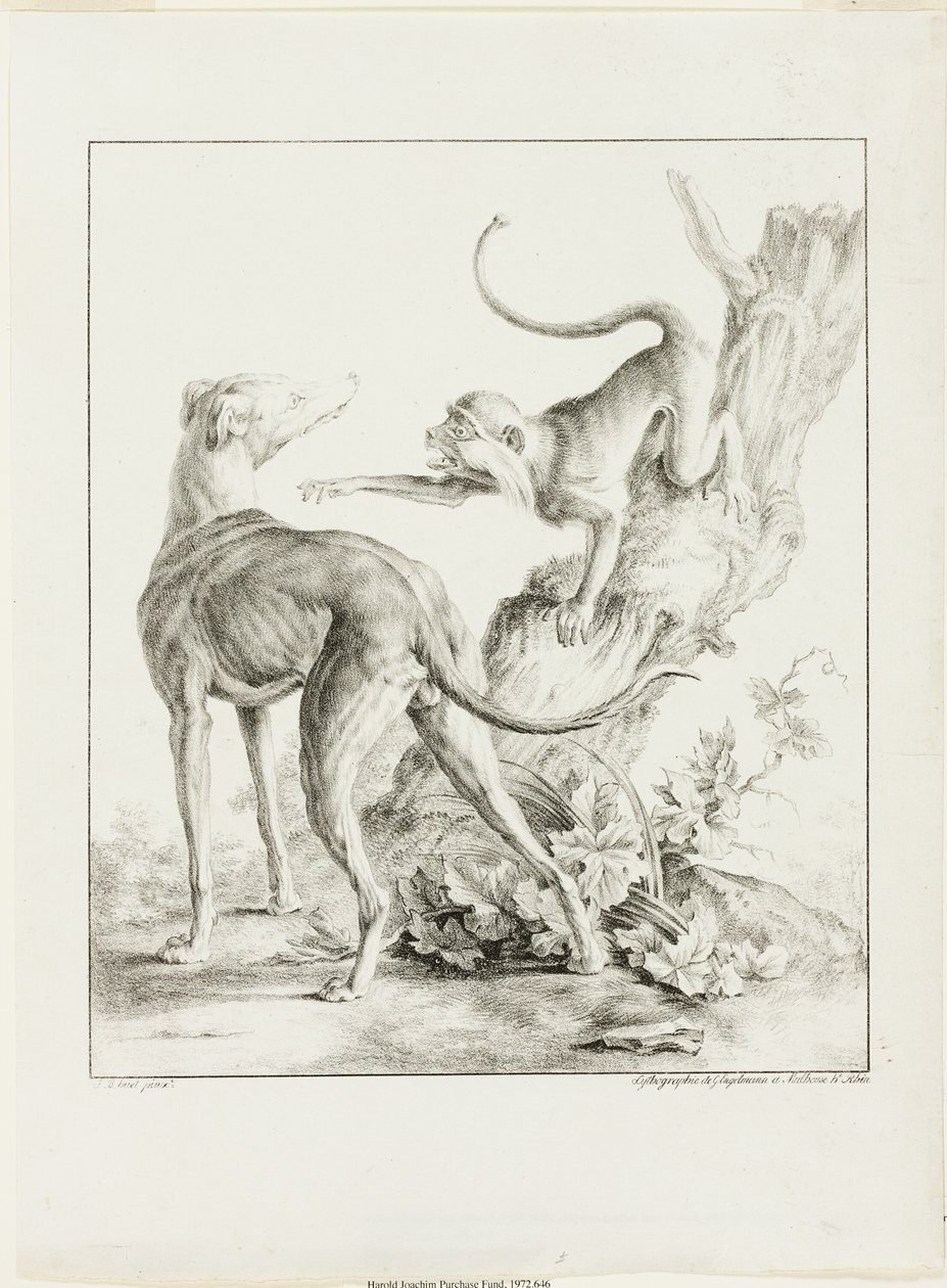 Hund und Affe von Gottfried Engelmann