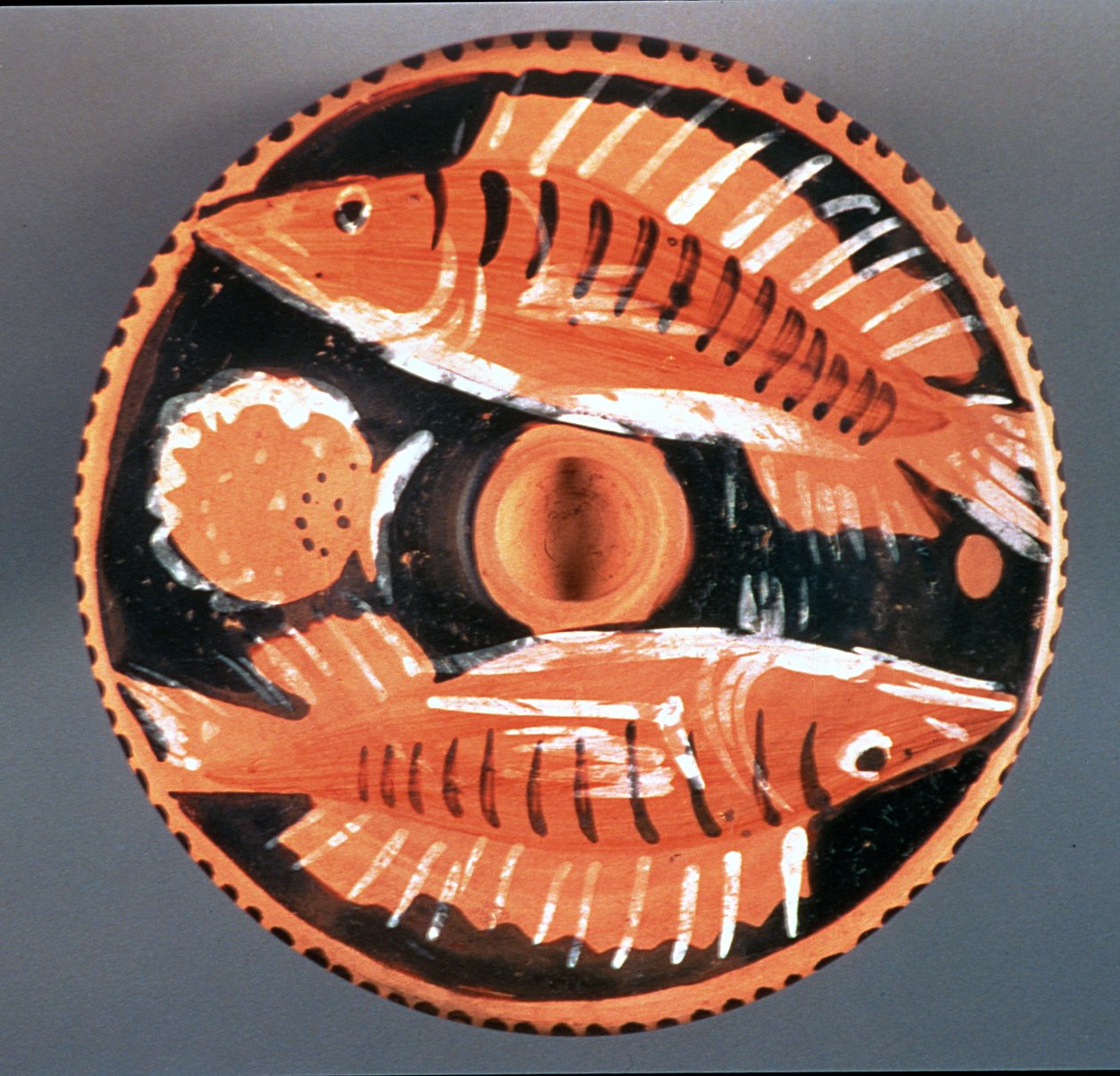 Teller mit zwei Fischen, 350 v. Chr. (Keramik) von Greek